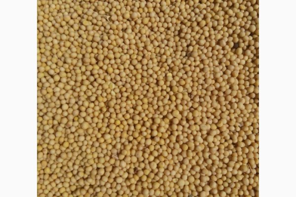 Кракен сайт ссылка kr2web in