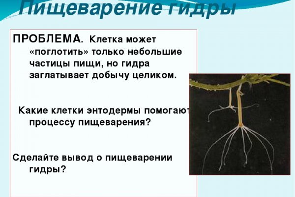 Кракен войти