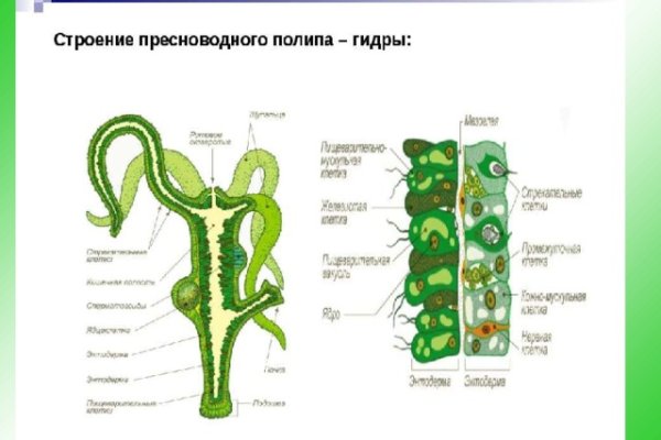 Кракен зеркало 2025