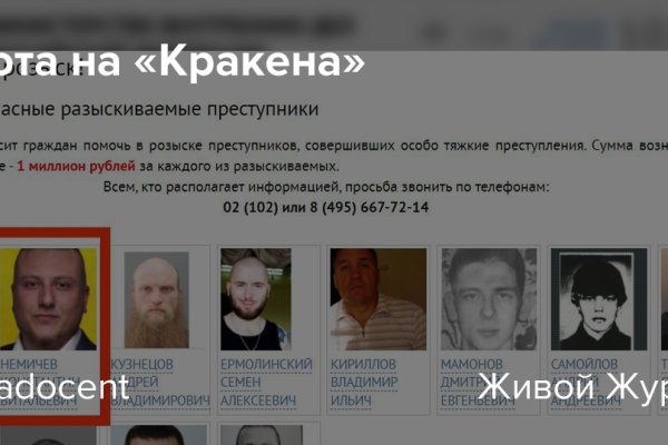 Ссылка кракен зеркало тор