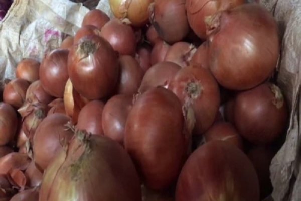 Как найти сайт кракен