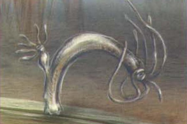 Kra50.cc