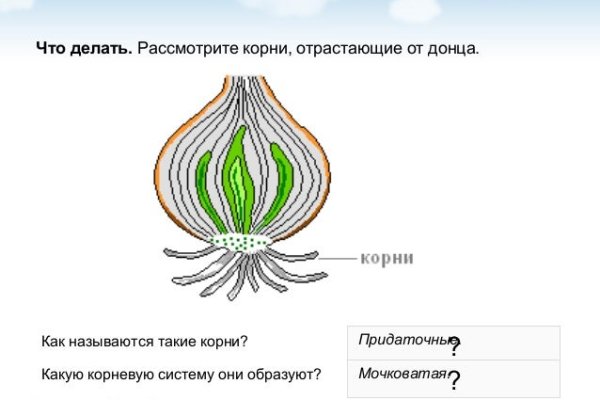 Кракен питер